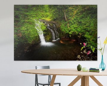 Waterval in Columbia river gorge, Oregon