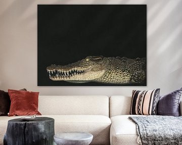Zoutwaterkrokodil, Crocodylus porosus van Helga Pohlen - ThingArt