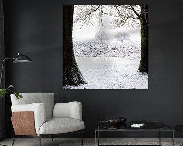 Winter tree's van Richard Guijt Photography