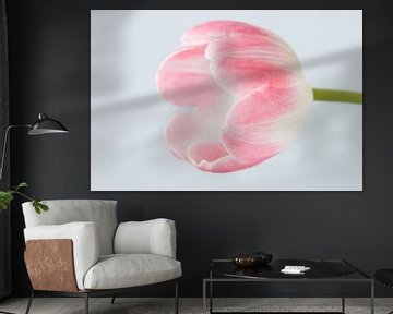 Simple pink tulip von Karin van Waesberghe