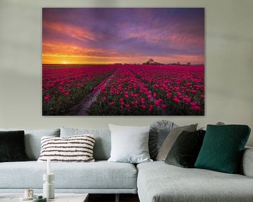 Roze Tulpen met Zonsondergang van Zwoele Plaatjes