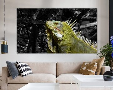 Bonairean iguana in oil paint by Loraine van der Sande