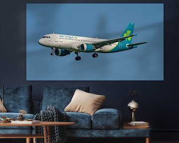 Aer Lingus Airbus A320-200 passenger jet. by Jaap van den Berg
