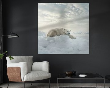 Eisbär von Poster Art Shop