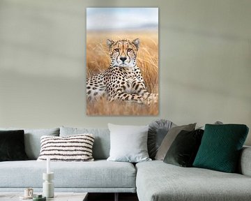 Cheetah van Poster Art Shop
