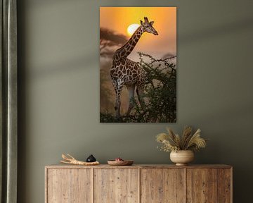 Giraffe by Poster Art Shop
