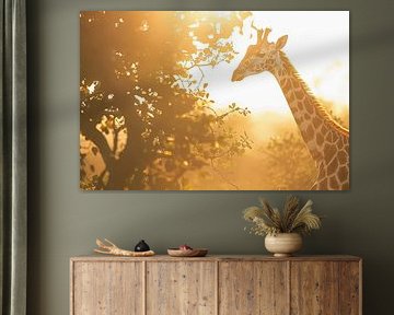 Giraffe by Poster Art Shop