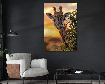 Giraffe von Poster Art Shop