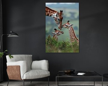 Giraffen van Poster Art Shop
