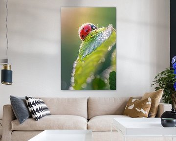 Ladybird by Poster Art Shop
