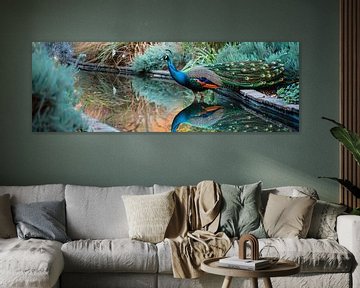 Blue peacock by Poster Art Shop