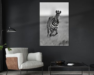 Zebra sur Poster Art Shop