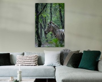 Zebra van Poster Art Shop
