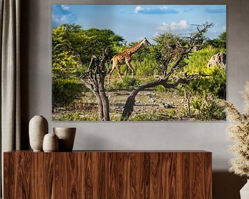 Giraffe in Afrikas schöner Landschaft