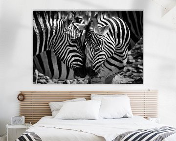 Twee liefdevol zebra's samen van Chi