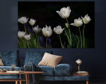 Witte tulpen tegen een donkere achtergrond van Ulrike Leone
