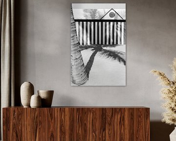 Palmboom schaduw in het zand | Zwart-wit fotoprint strandhuis Gran Canaria | Canarische Eilanden reisfotografie van HelloHappylife