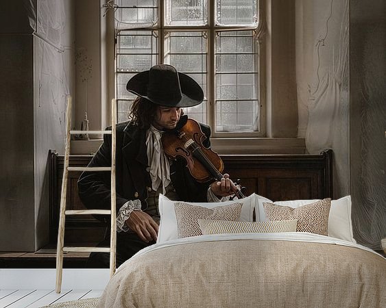 Aperçu de la chambre