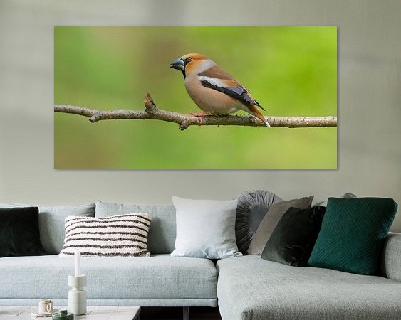 Aperçu de la chambre