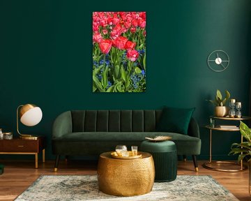 Flower bed with red tulips by ManfredFotos