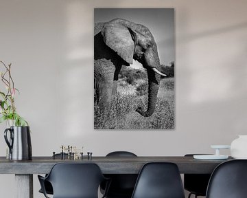 Close-up van een olifant in de natuur van Afrika (zwart wit versie) van Chi