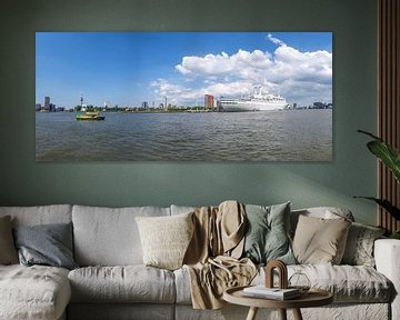 Rotterdams panorama van Pieter van Roijen