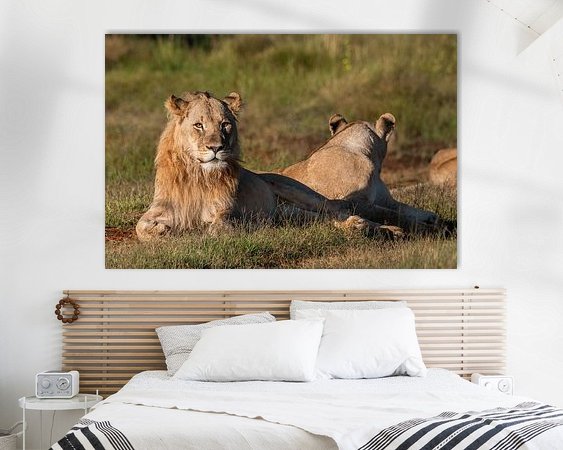 Aperçu de la chambre