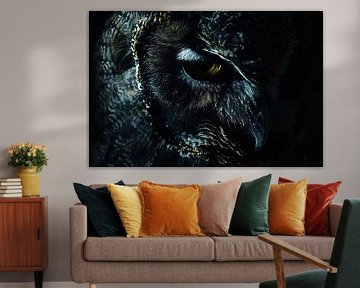 De Mystieke Glans van een Uilen Oog