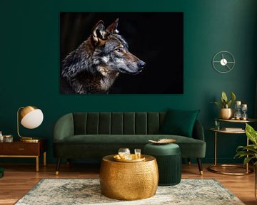 Intense Blik van een Wolf in Duisternis