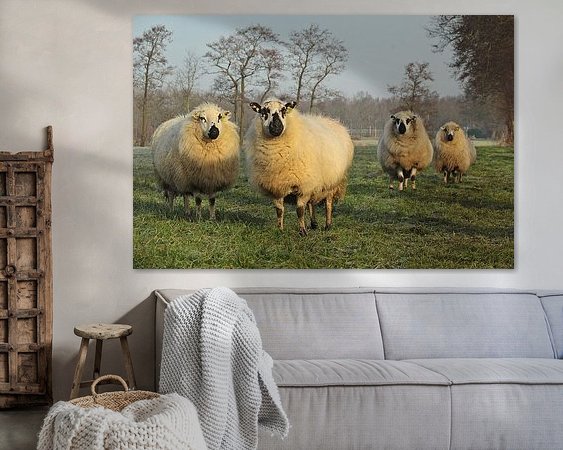 Aperçu de la chambre