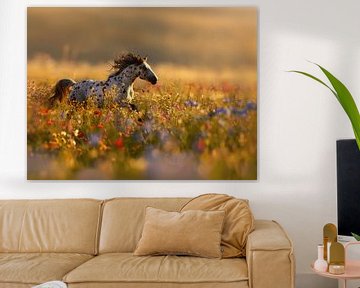 Fine Art Paardenpracht in een bloemenweelde van Karina Brouwer