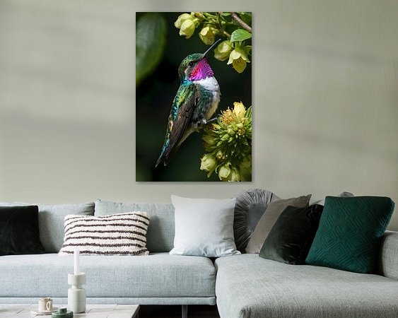 Aperçu de la chambre