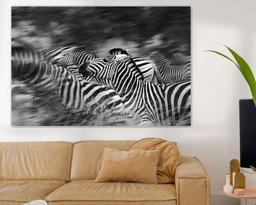 Zebras running by Jojanneke Vos