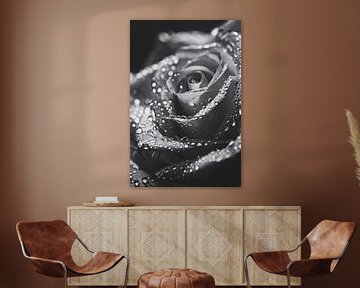 Zwart-witte roos met waterdruppels in close-up van Art & Soul Creations
