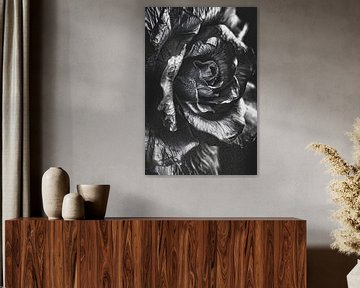Elegante zwart-wit macrofotografie van een roos van Art & Soul Creations