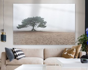 Boom in de mist in de Soesterduinen van Margreet Riedstra