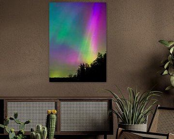 Aurora rainbow van Rene Wolf