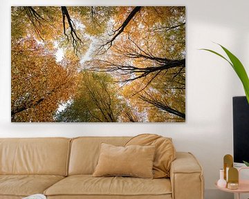 Goldener Herbst