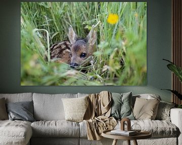 Calf in the grass by Bas Ronteltap