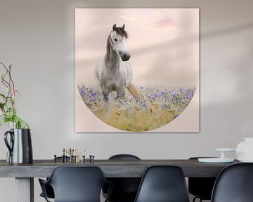 Paard in bloemenveld van @Unique