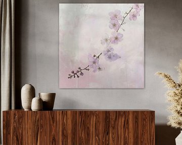 Fleurs de cerisier