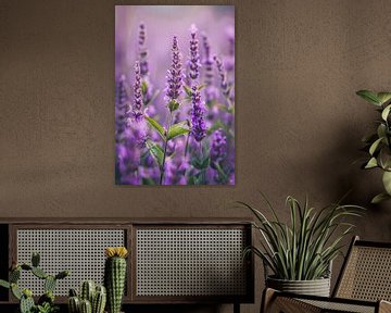 Close-up van bloeiende lavendelbloemen in paars van De Muurdecoratie
