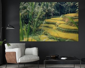 Gelaagde Rijstveld, Tegalalang Rice Terrace van Wahid Fayumzadah