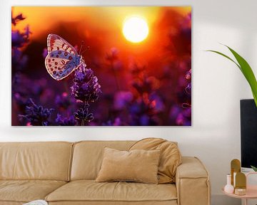 Vlinder rust op lavendel in oranje zonsondergang van Art & Soul Creations