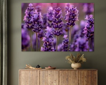 Close-up van lavendelbloemen in zachte zonneschijn van Art & Soul Creations