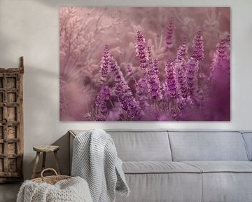 Sereen lavendelveld in zachte pasteltinten van De Muurdecoratie