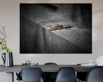 Small lizard on a log by Maickel Dedeken