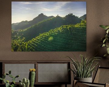 Wijngaarden van Prosecco heuvels bij zonsondergang. Italië van Stefano Orazzini