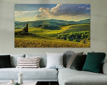 Panzano in Chianti wijngaarden bij zonsondergang. Toscane, Italië van Stefano Orazzini