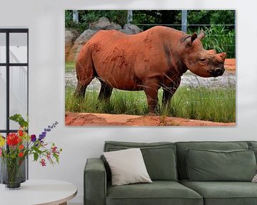 Rhinoceros in Miami by Karel Frielink